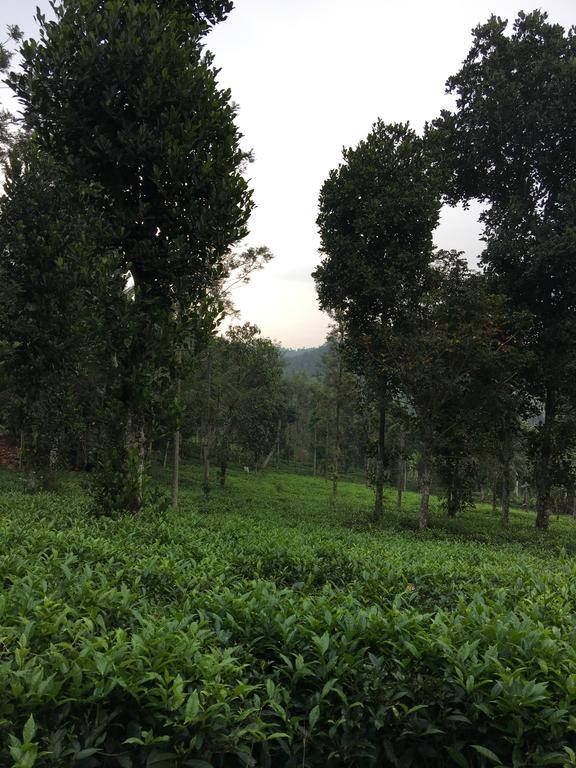Harmony Farm Wayanad Villa Szultán Bathery Kültér fotó