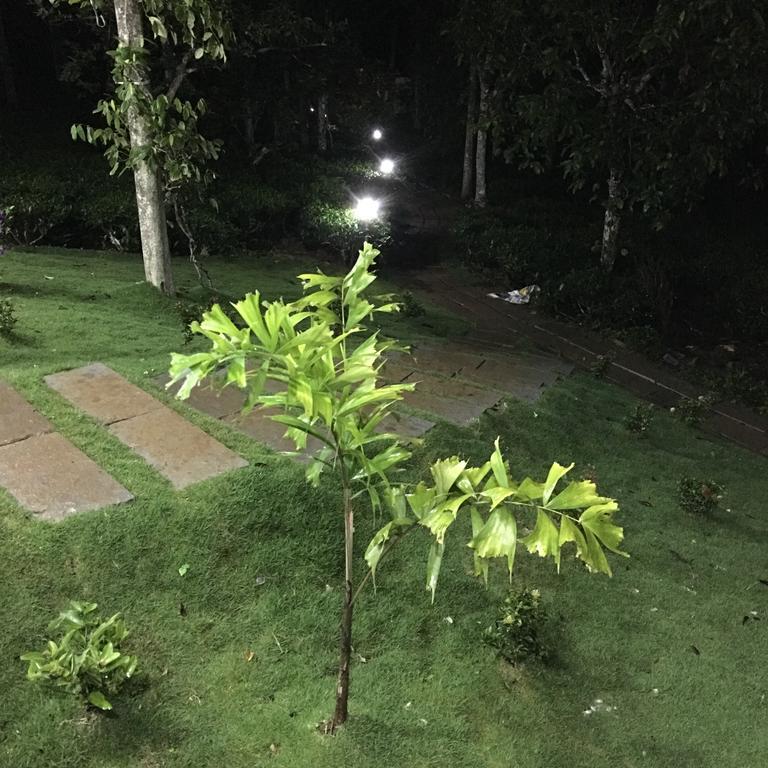 Harmony Farm Wayanad Villa Szultán Bathery Kültér fotó